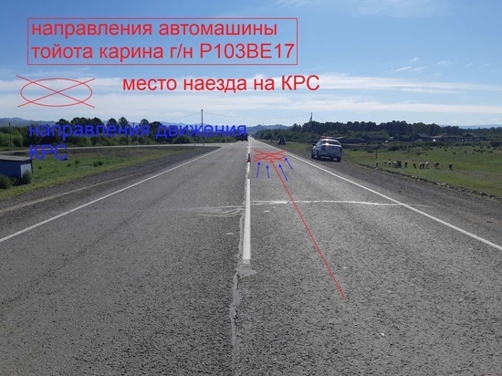 В Туве водитель иномарки наехал на коров и опрокинулся