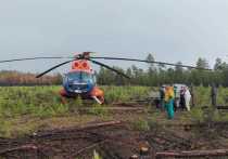 За сутки на утро 25 июля лесопожарные службы России ликвидировали 33 природных пожара на общей площади 465 га