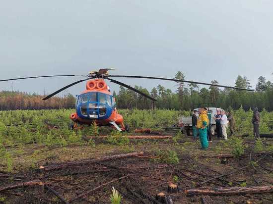 В регионах России за сутки потушены 33 лесных пожара
