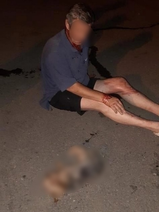 На избившего йоркширского терьера жителя Красноярска завели уголовное дело