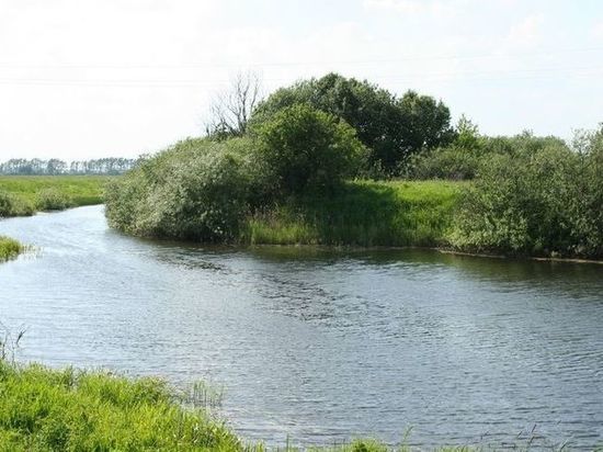 За 54 млн рублей в Оршанском районе расчистят водохранилище