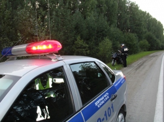 Два водителя погибли после ДТП с лосем на трассе Курган – Екатеринбург