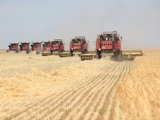 3 млн тонн зерновых намолотили в Волгоградской области