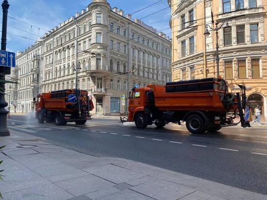 Около 40 тысяч кубов воды потратили на мытье дорог в Петербурге за неделю