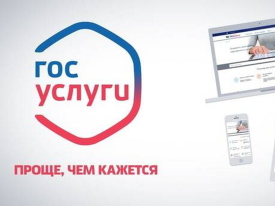Для брянцев на Госуслугах появится витрина данных