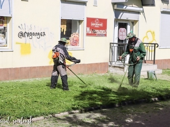 Смоленский "Зеленстрой" привел в порядок сквер на улице Октябрьской революции