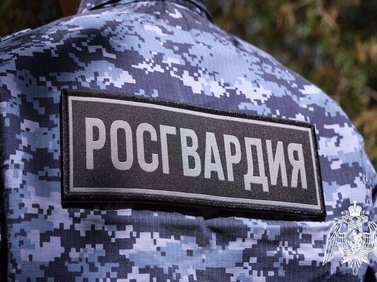 В Тамбовской области за две недели пресекли более 40 правонарушений