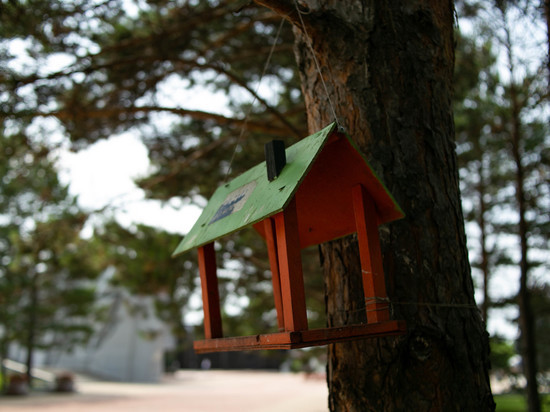 Озвучен прогноз погоды в Хабаровске и крае на 26 июля