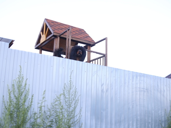 Что происходит в нескольких метрах от цивилизации