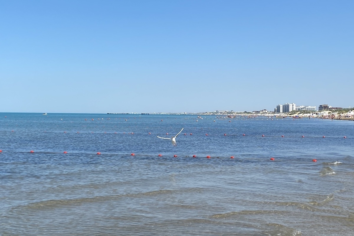 Чем опасно черное море. Отдых на черном море. Черноморское. Чёрное море отдых 2022. Черноморские медузы.