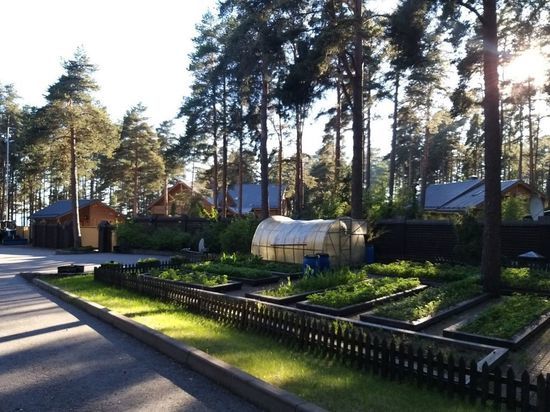 Спрос на загородную недвижимость упал в Петербурге на 34 %