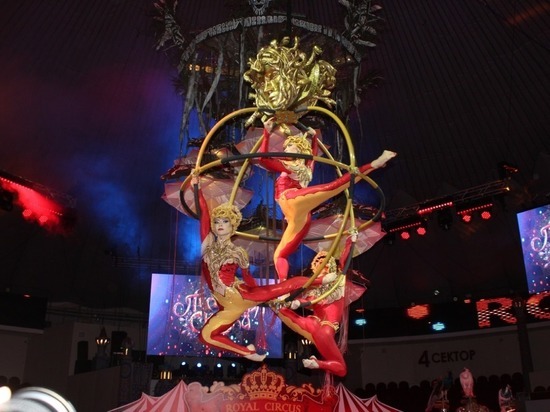 Единственный в мире цирковой номер с гиппопотамами покажут в Кисловодске