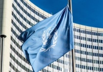 Представитель России Ирина Тяжлова на заседании рабочей группы ООН открытого состава по международной информационной безопасности, назвала голословными обвинения нашей страны в киберагрессии