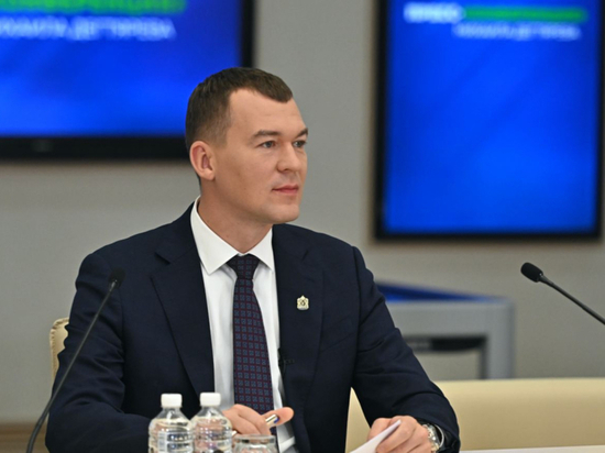 Михаил Дегтярев высказал мнение о возможности занять место Жириновского