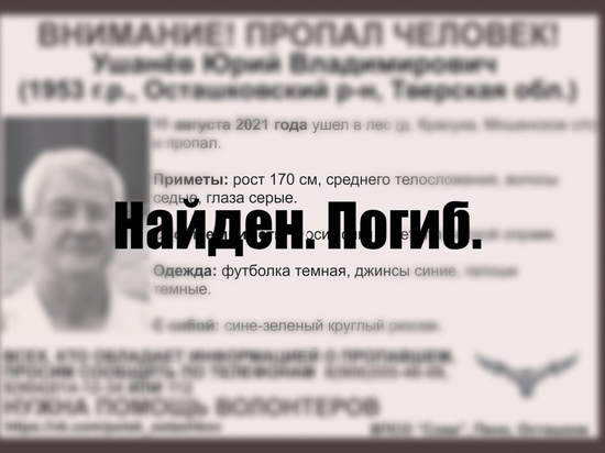 В Тверской области нашли тело пропавшего почти год назад пенсионера