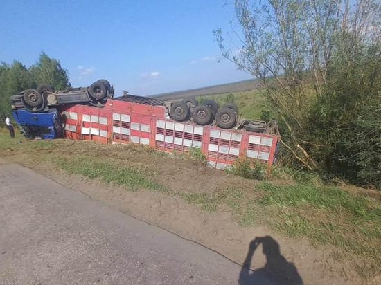 В Сараевском районе перевернулась фура Scania
