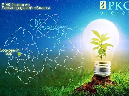 «РКС-энерго» объявил конкурс в Сосновом Бору в честь 95-летия Ленобласти