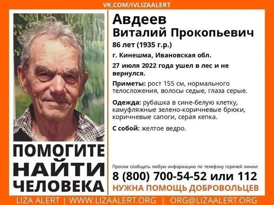 В Ивановской области разыскивают лесного "потеряшку" с желтым ведром
