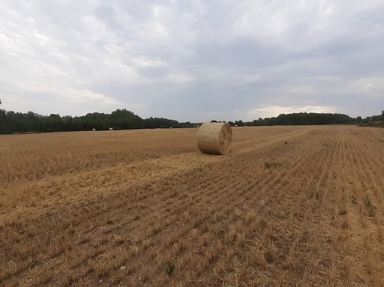 Евгений Куйвашев принял решение выделить 11 миллиардов на поддержку сельского хозяйства