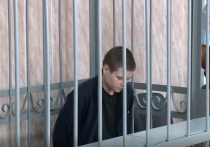 Суд в понедельник огласил приговор Владиславу Струженкову, взорвавшему бомбу в здании православной гимназии в Серпухове