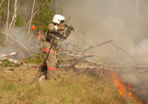 Жаловаться на переработки не смогут сотрудники, занятые на тушении лесных пожаров