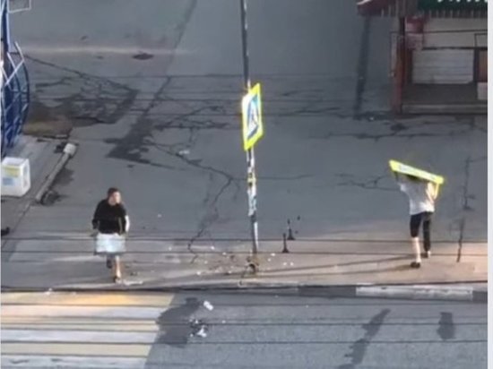 Вандалов, оторвавших дорожные знаки, задержали в Ижевске