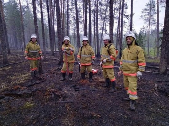 Пожарные Удмуртии продолжают тушить лесные пожары в Коми