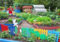 По сообщению пресс-центра Администрации Красноярска, сейчас на детских огородах растут: тыквы, подсолнухи, овес, пшеница, сельдерей, рукола и базилик