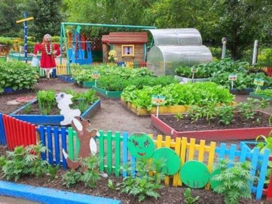 В детских садах Красноярска зреет рекордный урожай баклажанов и помидоров