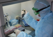 За прошлые сутки в Забайкалье выявлено 25 подтвержденных случаев заболевания коронавирусом, вылечены 13 пациентов, летальных случаев не зарегистрировано