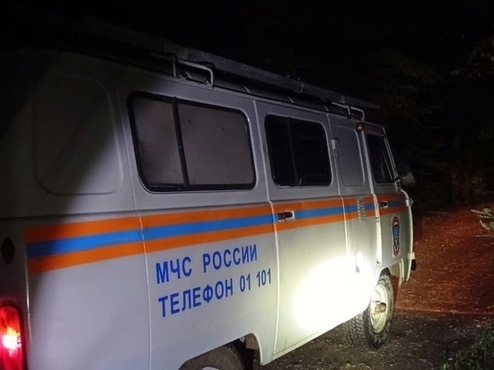 Пропавших на Кубани мать и семерых детей нашли сидящими вокруг костра