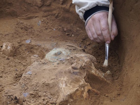 В Моркинском районе завершили раскопки древнего могильника