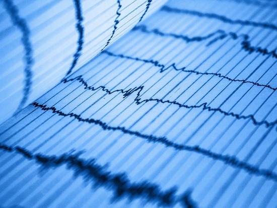 Полиграф помог гострудинспекции Башкирии найти виновника несчастного случая