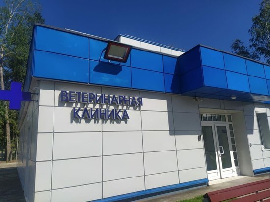 Новая ветеринарная клиника в Сосновом Бору сможет принимать по 60 пациентов в день