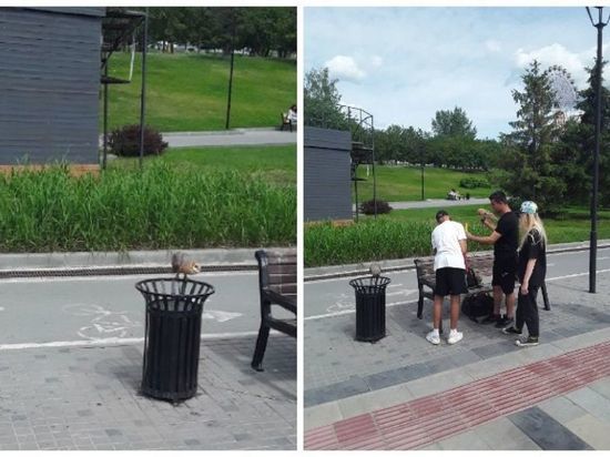 В Новосибирске назвали незаконной фотосессию с совами на Михайловской набережной