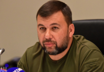 Глава ДНР Денис Пушилин рассказал, что военные Донецкой народной республики добились определенных спехов в наступлении в направлении города Авдеевка