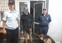 В Рязанской области поймали разыскиваемого преступника