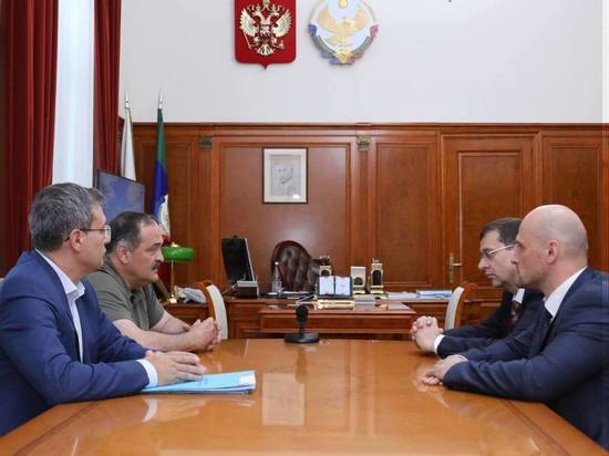 Глава Дагестана встретился с гендиректором «Россети Северный Кавказ»