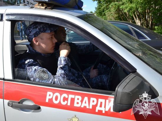 Жительница Кировска спрятала у себя в сумке 74 носка и попыталась покинуть мурманский магазин в обход кассы