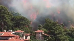 На турецком курорте лесной пожар перекинулся на отель: видео