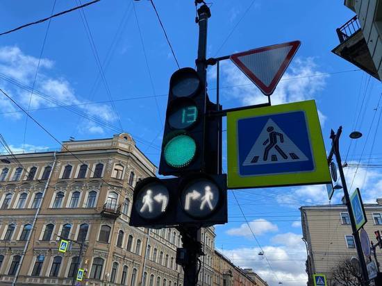 Жители Ленобласти проголосовали за «лазерные зебры» на дорогах
