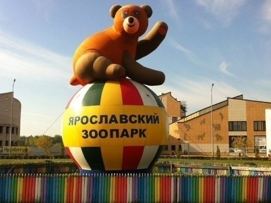 В Ярославском зоопарке отметят «День тигра»