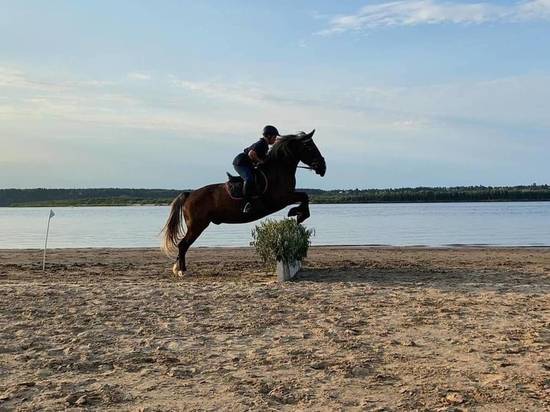 Соревнования по конному туризму, включающие преодоление длинной и короткой дистанций, завершились в Холмогорском районе