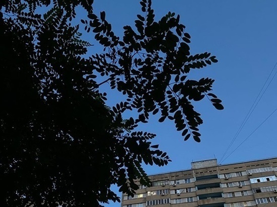 На Дону в августе ожидается жаркая погода и мало осадков