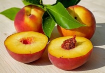 В случае неумеренного употребления в пищу такого популярного летнего фрукта, как персики, можно получить крайне неприятную реакцию организма