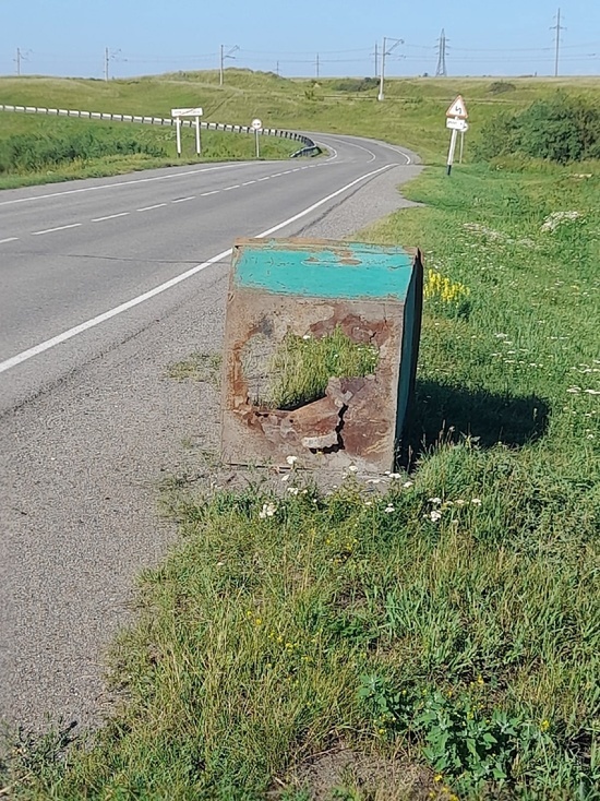 Дырявый мусорный контейнер возмутил кузбассовцев