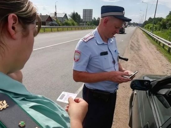В Ярославле ГИБДД займется теми кто не платит штрафы