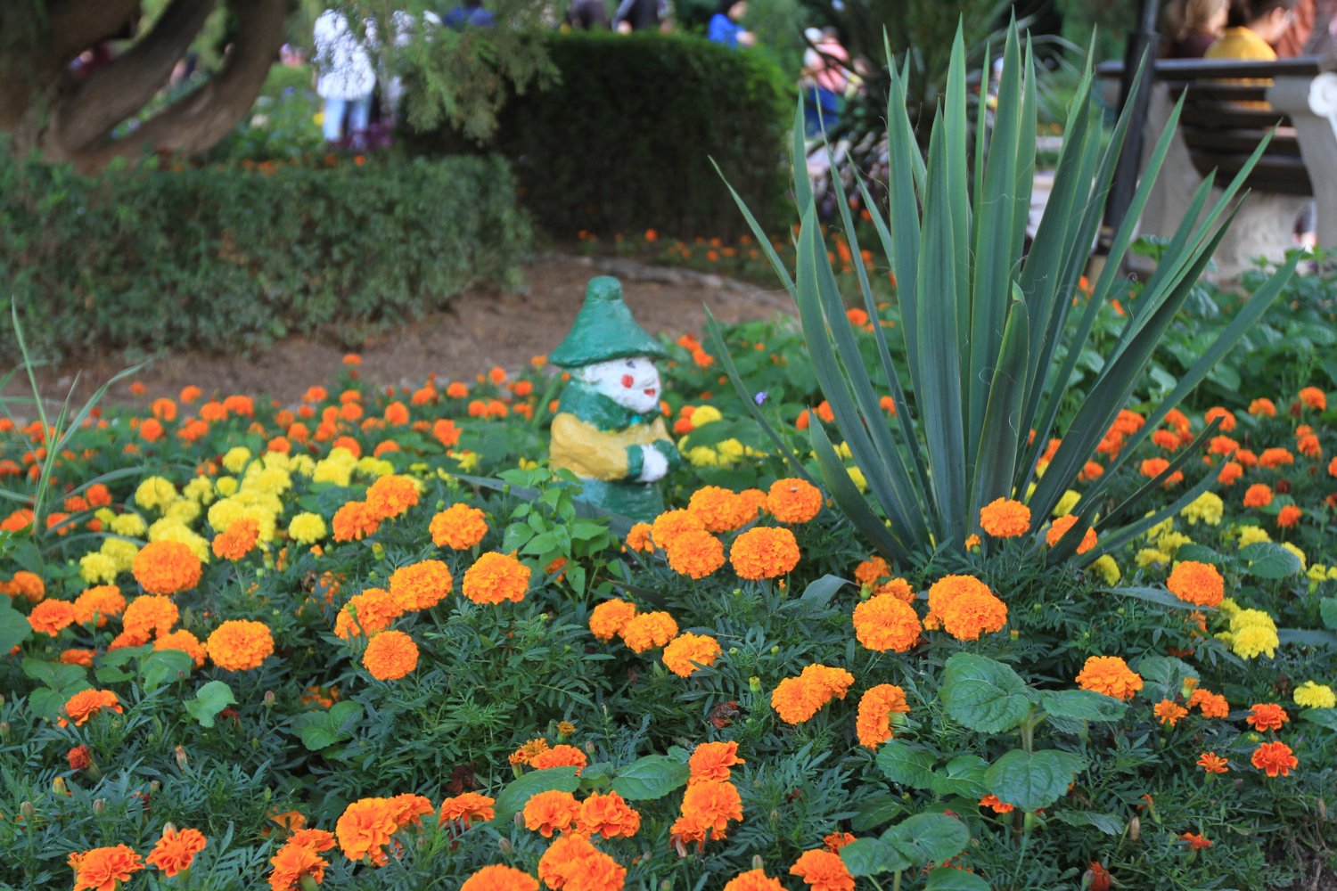 В столице Дагестана высажены сотни тысяч цветов