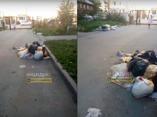 Жуткая вонь: жители Ленинского района возмутились стихийной свалкой возле дома в Новосибирске