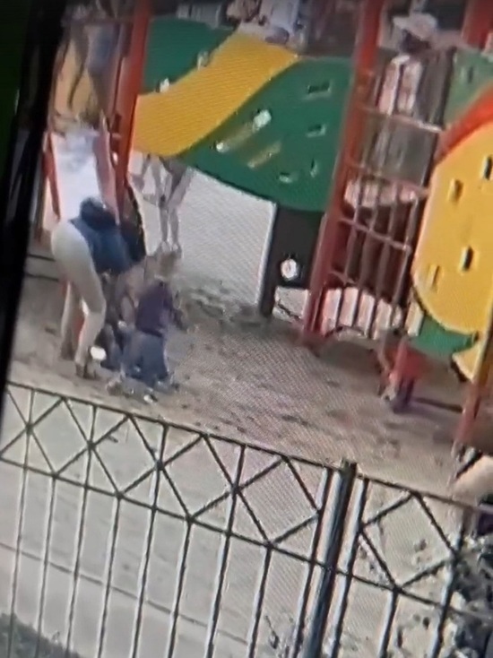 В Ноябрьске женщина ударила чужого ребенка на горке